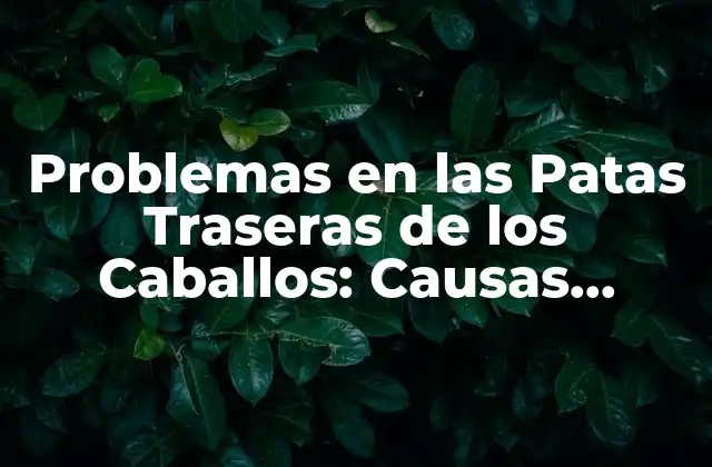 Problemas en las Patas Traseras de los Caballos: Causas, Síntomas y Tratamientos