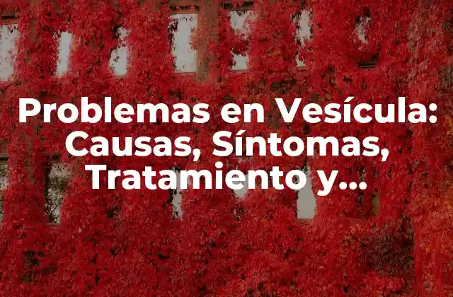 Problemas en Vesícula: Causas, Síntomas, Tratamiento y Prevención