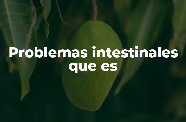 Problemas Intestinales que es