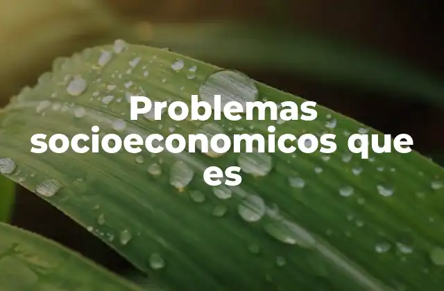 Las raíces de las desigualdades en la sociedad