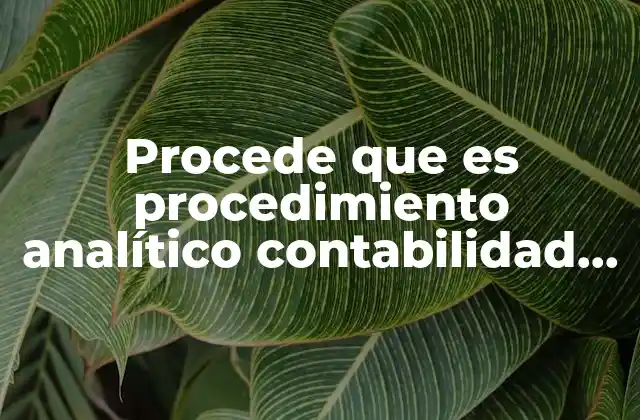 Procede que es Procedimiento Analítico Contabilidad Ejemplos
