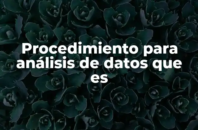 Cómo se estructura el proceso de análisis de datos