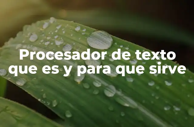 Procesador de Texto que es y para que Sirve