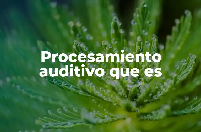 Procesamiento Auditivo que es