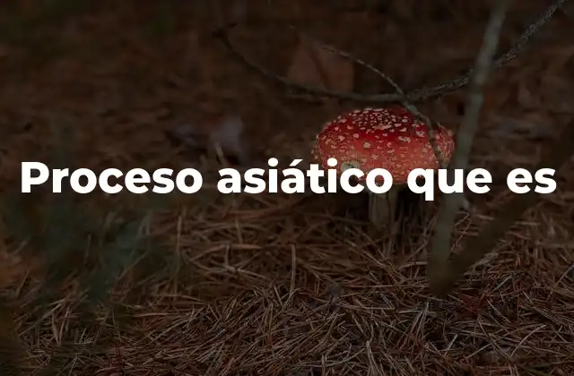 Proceso Asiático que es