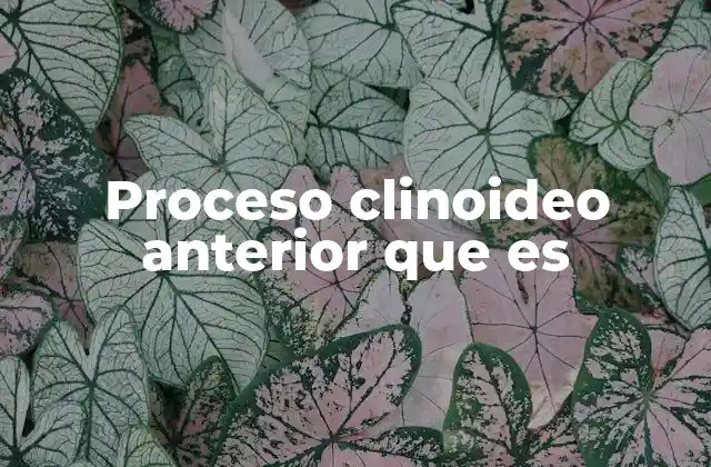 Proceso Clinoideo Anterior que es