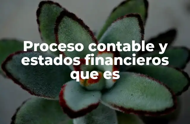 Proceso Contable y Estados Financieros que es 2 Cómo el proceso contable respalda la preparación de los estados financieros