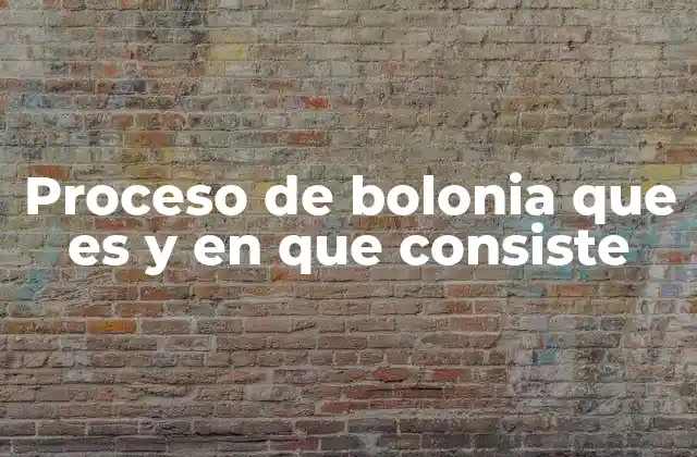 Proceso de Bolonia que es y en que Consiste