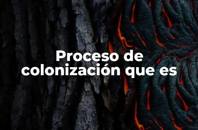 Proceso de Colonización que es 2 El proceso histórico detrás de la expansión territorial