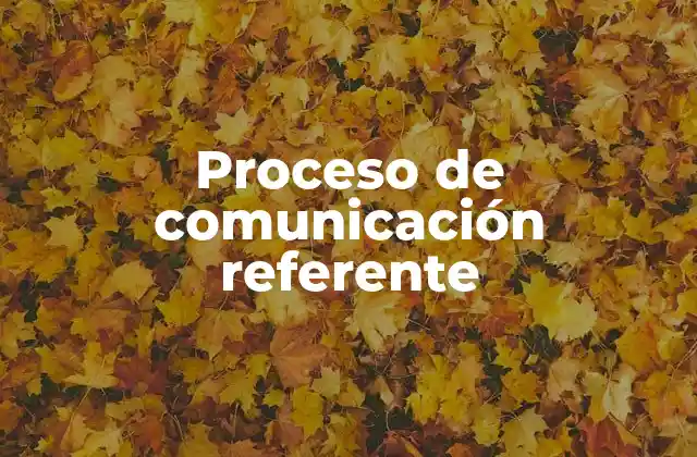Proceso de Comunicación Referente