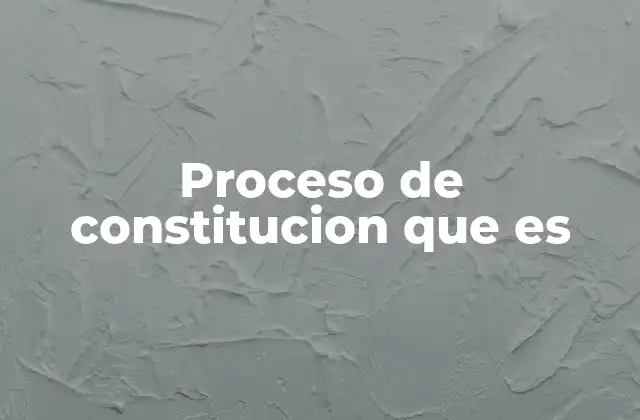 Proceso de Constitucion que es