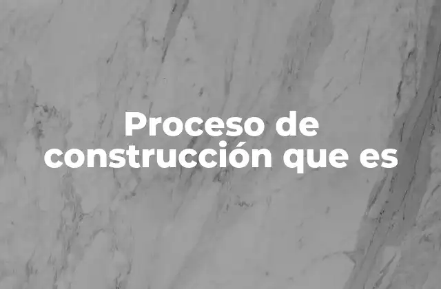 Proceso de Construcción que es