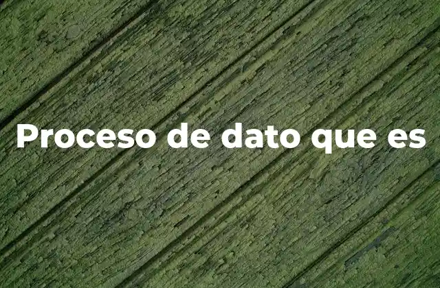 Proceso de Dato que es