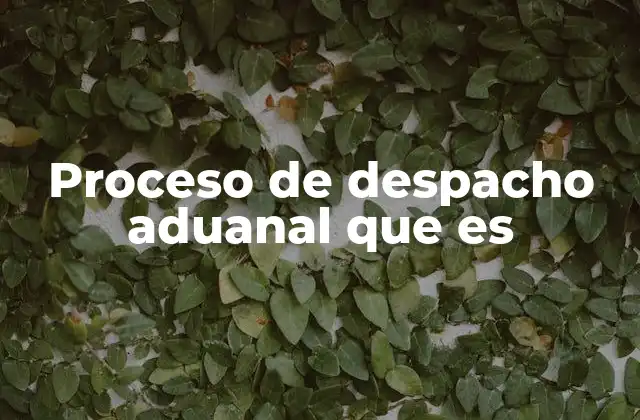 Proceso de Despacho Aduanal que es