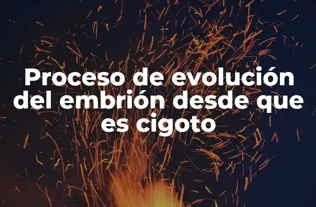 Proceso de Evolución Del Embrión desde que es Cigoto