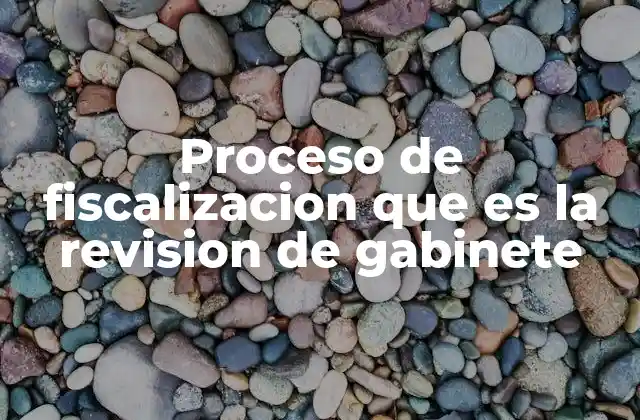 Proceso de Fiscalizacion que es la Revision de Gabinete