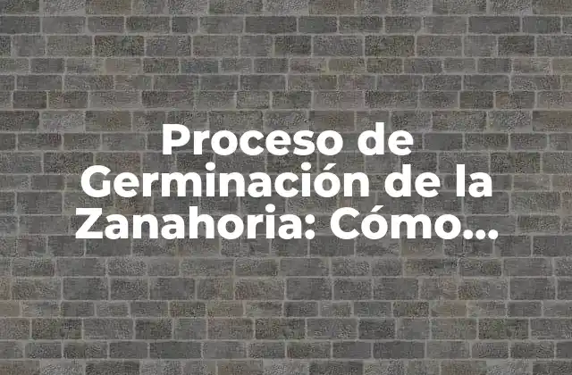 Proceso de Germinación de la Zanahoria: Cómo Cultivar Zanahorias Saludables