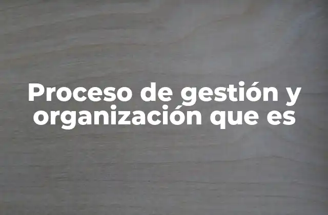 Proceso de Gestión y Organización que es