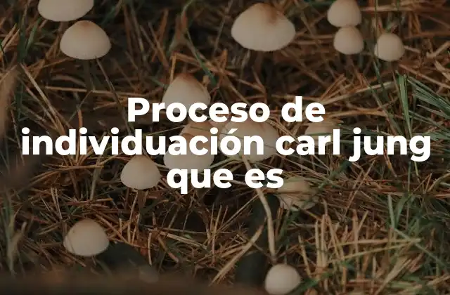 Proceso de Individuación Carl Jung que es