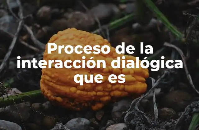 Proceso de la Interacción Dialógica que es