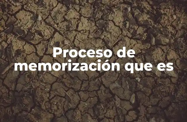 Proceso de Memorización que es