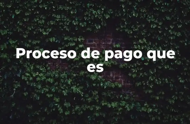 Proceso de Pago que es