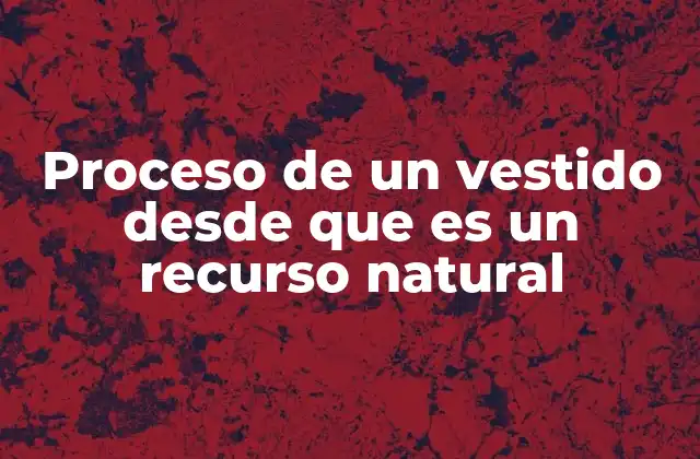 Proceso de un Vestido desde que es un Recurso Natural