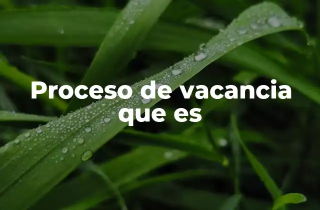 Proceso de Vacancia que es
