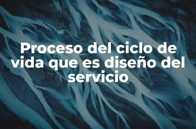 Proceso Del Ciclo de Vida que es Diseño Del Servicio