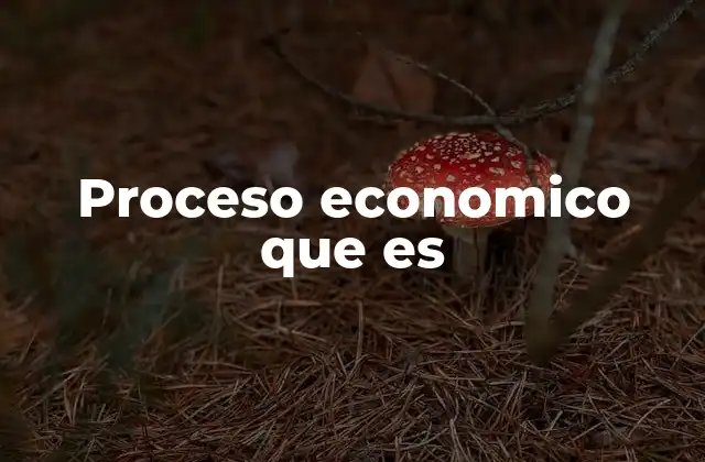 Proceso Economico que es