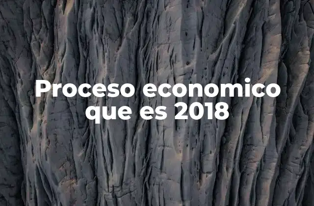 Proceso Economico que es 2018