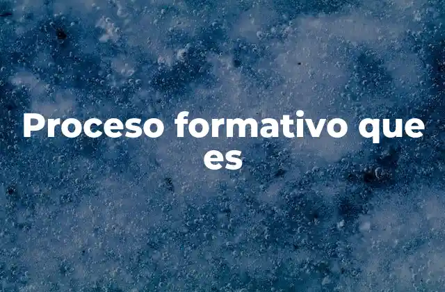 Proceso Formativo que es