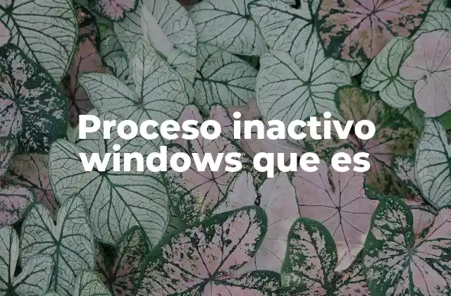 Proceso Inactivo Windows que es