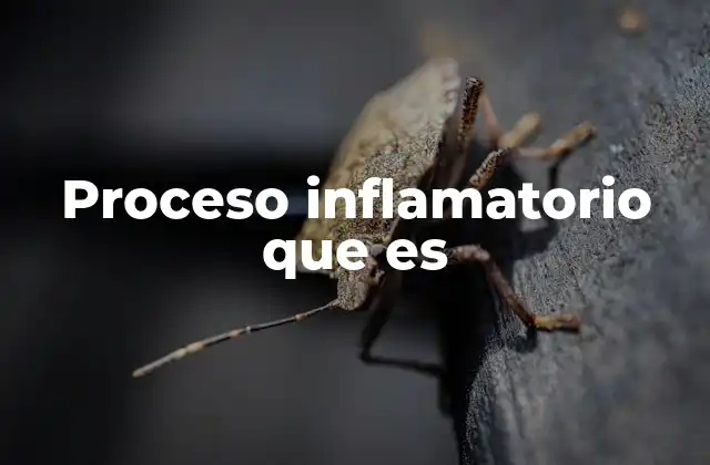 Proceso Inflamatorio que es