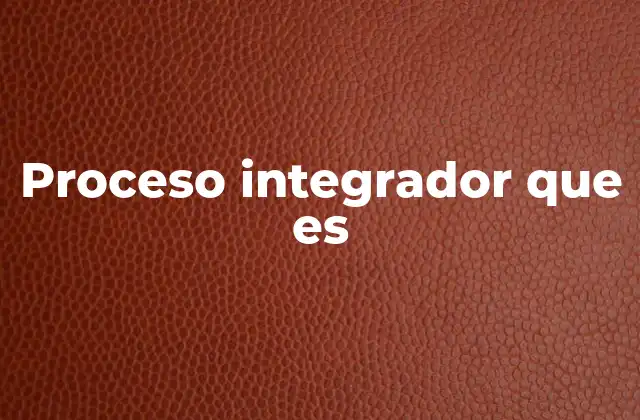 Proceso Integrador que es
