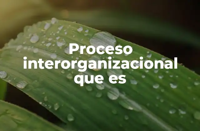 Proceso Interorganizacional que es