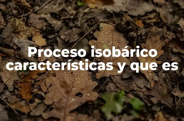 Proceso Isobárico Características y que es