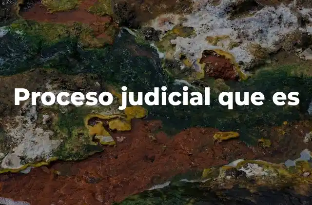 Proceso Judicial que es