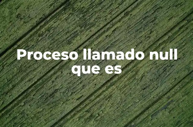 Proceso Llamado Null que es
