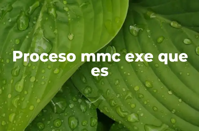 Proceso Mmc Exe que es