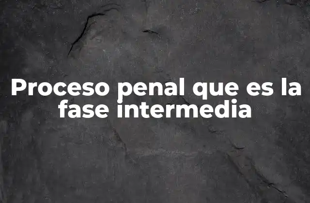 El papel de la fase intermedia en el sistema penal