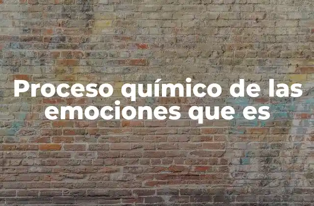 Proceso Químico de las Emociones que es