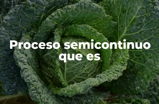 Proceso Semicontinuo que es