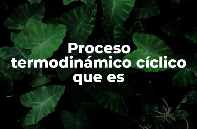 Proceso Termodinámico Cíclico que es 2 Características de los ciclos termodinámicos