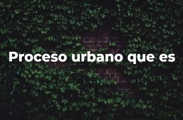 Proceso Urbano que es