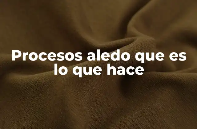 Procesos Aledo que es Lo que Hace