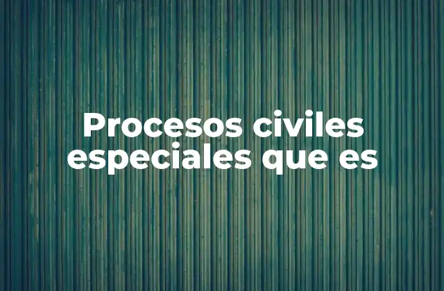 Procesos Civiles Especiales que es