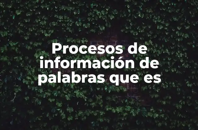 Procesos de Información de Palabras que es