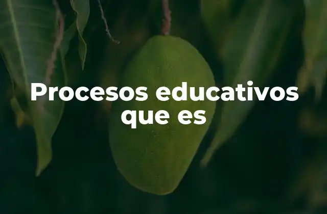 Procesos Educativos que es