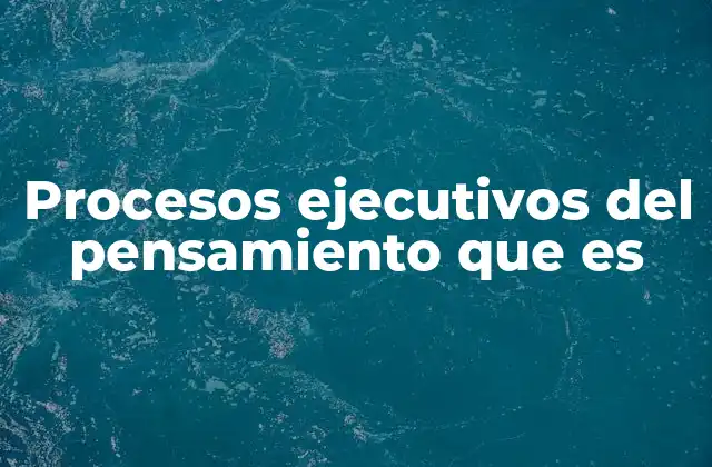 Procesos Ejecutivos Del Pensamiento que es 2 Cómo funcionan los mecanismos detrás del control cognitivo
